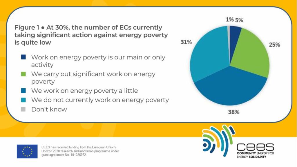 Figure 1: A pie chart showing the percentage of energy communities that answered a survey question on their current action against energy poverty. 5% say work on energy poverty is their main or only activity; 25% say they carry out significant work on energy poverty; 38% say they work on energy poverty a little; 31% say they do not currently work on energy poverty; and 1% say they do not know if they work on energy poverty. 